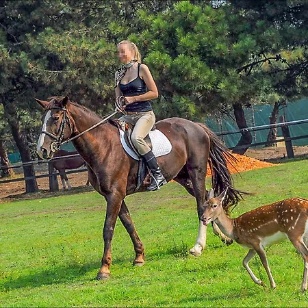 Сasa de vacaciones V4 Zona