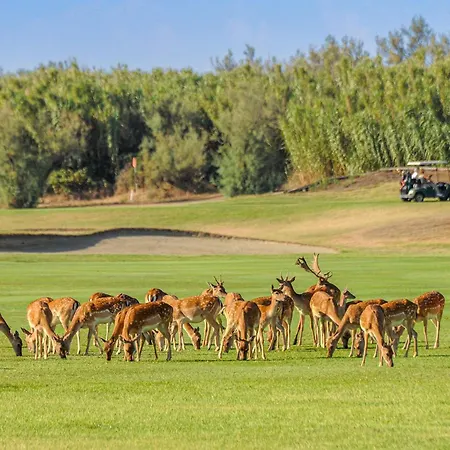 V4 Zona Casa vacanze Albarella Island