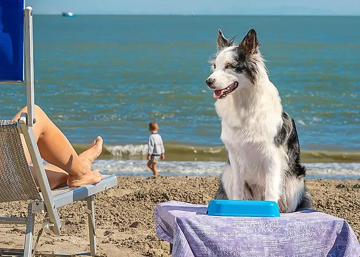 V4 Zona Prázdninový dům *